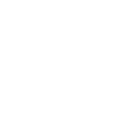 Access-control-icon