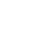 Security-systems-icon