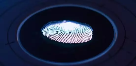 fingerprint scanner