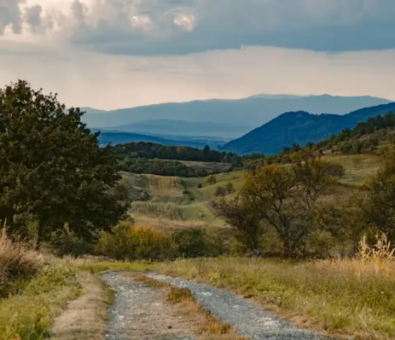 hills and fields